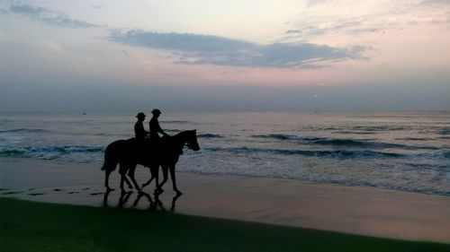 Silhouette man riding horse on beach against sky during sunset