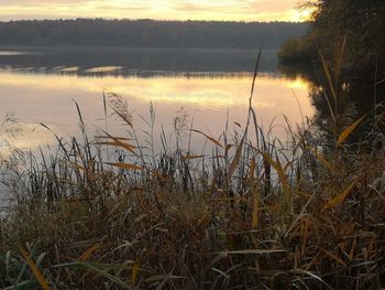 Scenic view of lake against sky during sunset