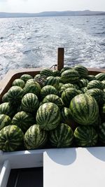 Close-up of vegetables on beach against sky