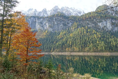 Scenic view of lake in forest during autumn