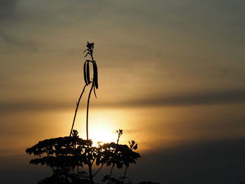 Close-up of silhouette plant against romantic sky at sunset