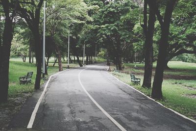 Road amidst trees