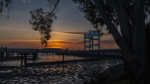 Silhouette trees on beach against sky during sunset