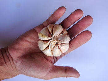 Close-up of hand holding ice cream over white background