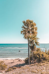 Scenic view of sea against clear sky