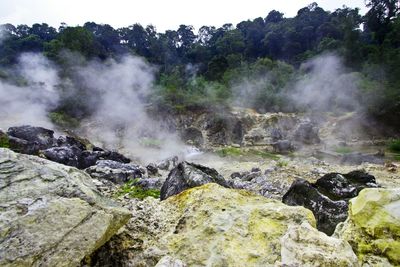 Scenic view of waterfall