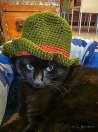 Close-up of black cat wearing hat
