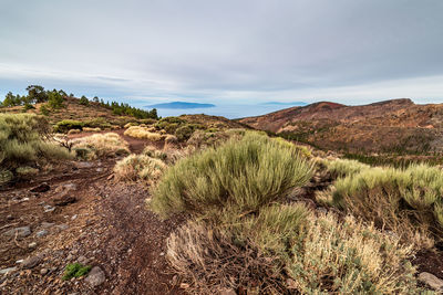 Scenic view of landscape against sky