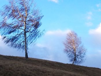 Low angle view of bare tree against sky