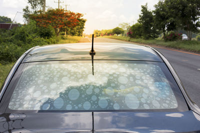 Road seen through wet car windshield