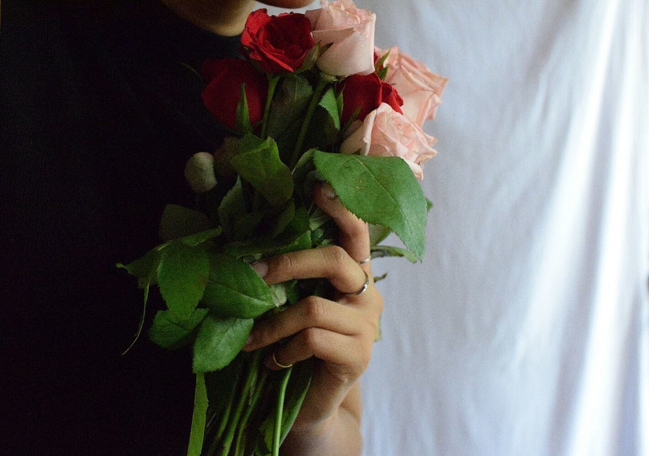 CLOSE-UP OF HAND HOLDING ROSE OVER FLOWERS