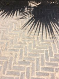 High angle view of shadow on footpath