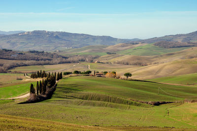 Scenic view of agricultural field against sky