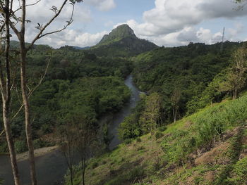 Scenic view of forest against sky