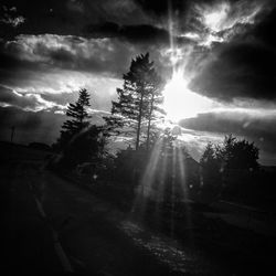 Trees on landscape against sky