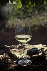 Close-up of wine glasses on table