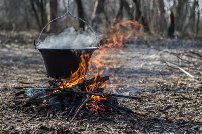 Cauldron on burning firewood in forest