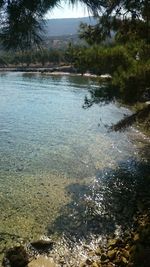 Scenic view of lake in forest against sky