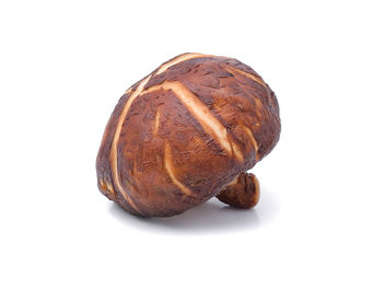 Close-up of shiitake mushroom against white background