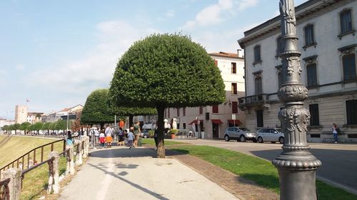 Trees in city against sky