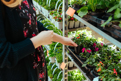 Young woman buying flowers for the garden close up