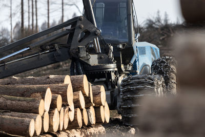 Stack of logs on field