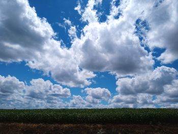 Scenic view of field against blue sky