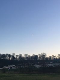 Scenic view of trees against clear sky