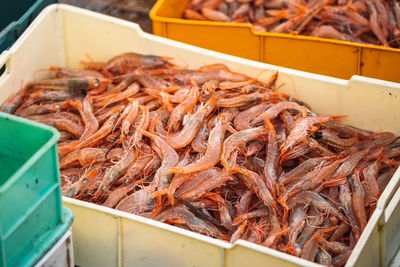 Freshly just caught shrimps and other fish in plastic crates on a fishing wooden boat