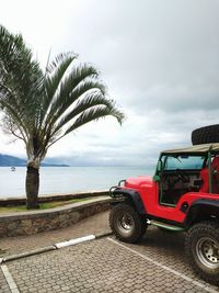 View of palm trees on beach