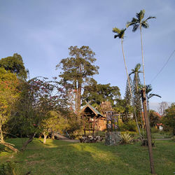 Trees and houses on field against sky