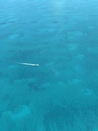 High angle view of blue sea