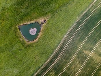 Drone view of field and lake