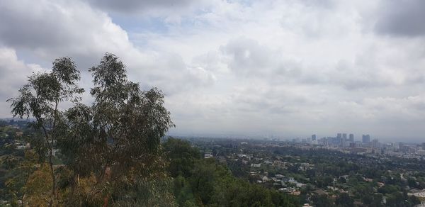 High angle view of trees and buildings against sky