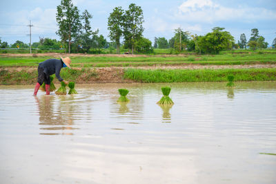 Man working in water on field