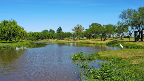 Scenic view of lake against clear sky