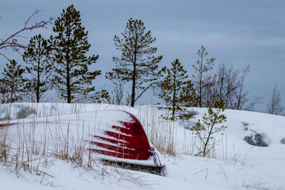 Snow covered land by trees on field during winter