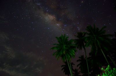 Low angle view of coconut palm trees against star field