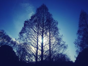 Low angle view of silhouette trees against blue sky