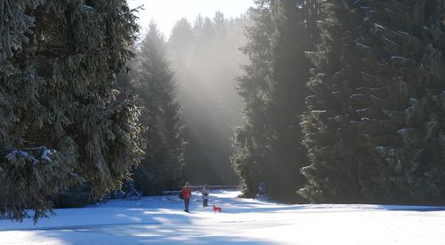 Rear view of woman walking on snow covered landscape