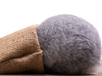 Close-up of human face against white background