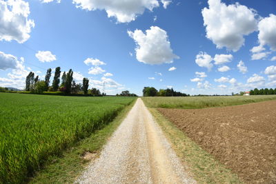 Road passing through field