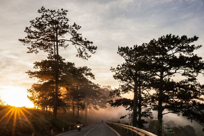 Road by trees against sky during sunset