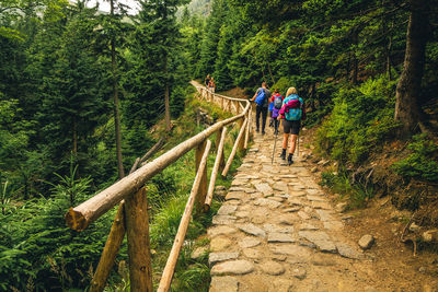 Rear view of people walking on footbridge in forest