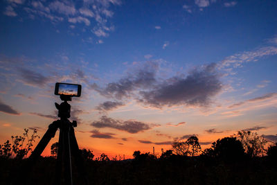 Low angle view of silhouette tree against sky during sunset