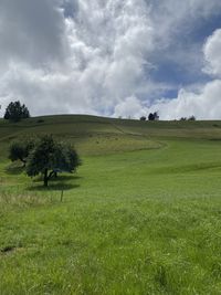 Scenic view of field against sky