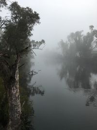 Reflection of trees in lake against sky