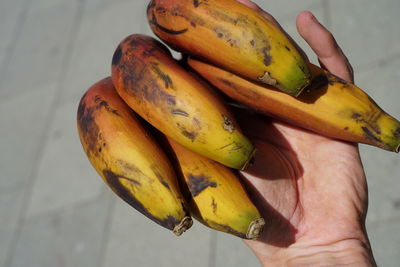 Close-up of hand holding fruit