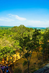 Trees on landscape against blue sky