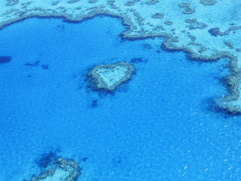Reflection of trees in water